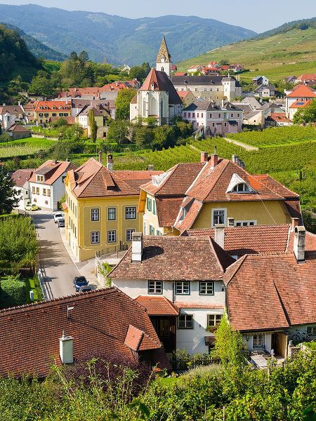 Zwick, Martin 아티스트의 Historic village Spitz located in wine-growing area-UNESCO World Heritage Site-Lower Austria작품입니다.